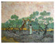 "Women Picking Olives" Digital Paper Print by Vincent Van Gogh, 32"x25"