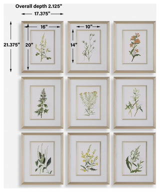 Uttermost Botanical Flowers Framed Prints, Set of 9