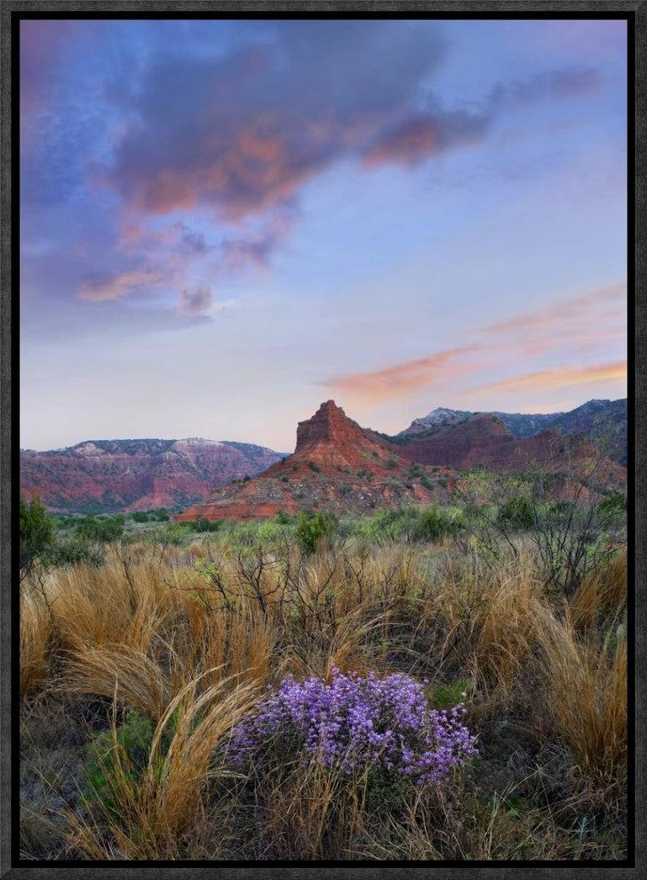 "Caprock Canyons State Park, Texas"  by Tim Fitzharris, 13x17"