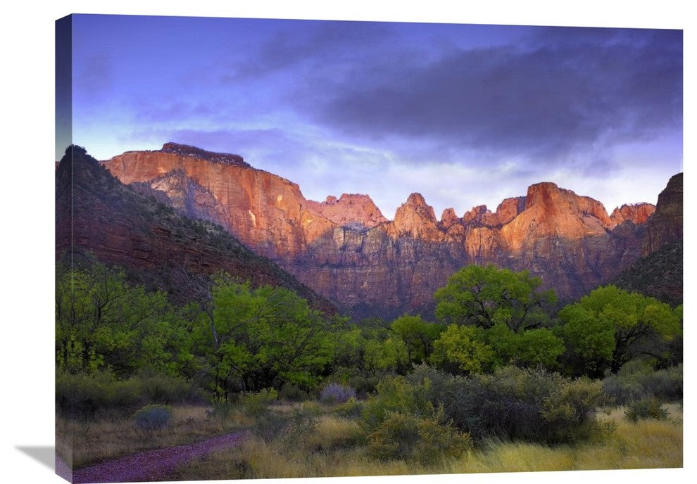 "Towers Of The Virgin, Zion National Park, Utah" Artwork, 32" x 24"