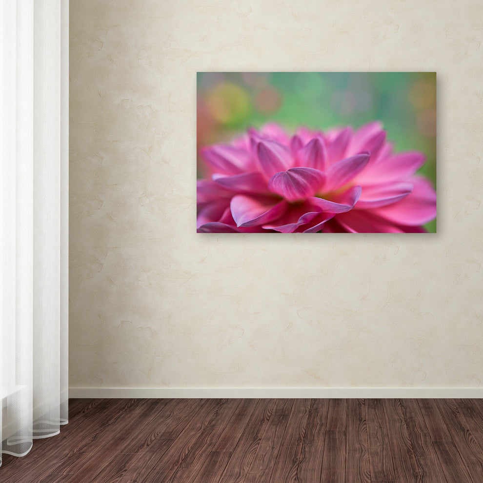 Cora Niele ''Dahlia Petals'' Canvas Art
