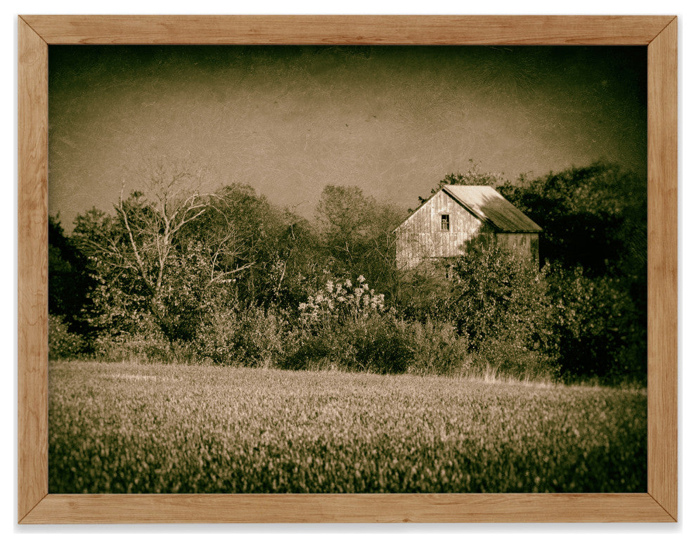 Abandoned Barn In The Trees Vintage Framed Photo Paper Wall Art Prints, Red Oak, 12" X 18"