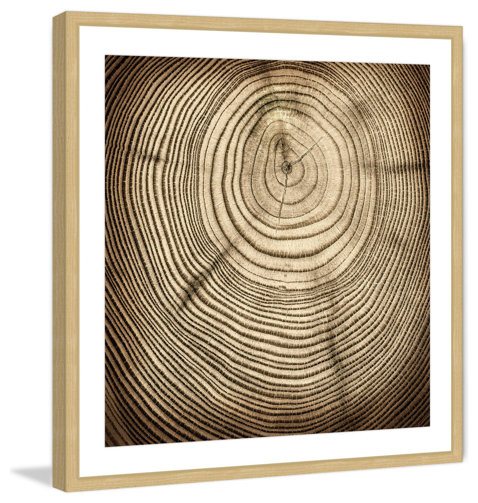 "Rings of Age" Framed Art Print