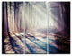 "Strong Sunbeams in Thick Forest" Photo Metal Wall Art, 3 Panels, 36"x28"