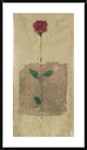 "American Beauty" Framed Digital Print by Anonymous, 26x44"