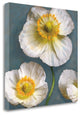 "Poppy Parfait II" By Janel Pahl, Giclee Print on Gallery Wrap Canvas