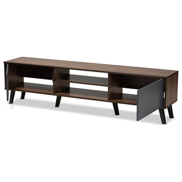 Coreen Scandinavian Modern Gray and Walnut Brown TV Stand