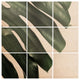 Deny Designs Ballack Art House Panama Taste Wood Wall Mural, 4'x4'