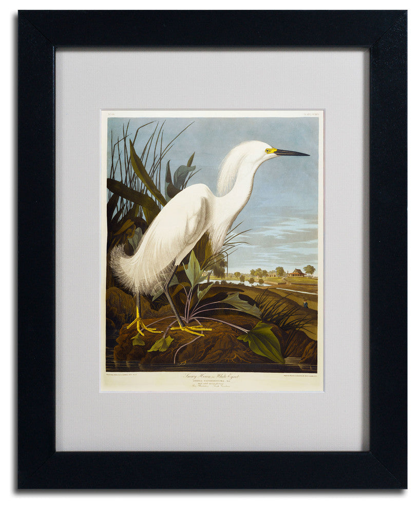 'Snowy Heron' Matted Framed Canvas Art by John James Audubon