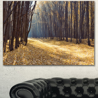 Path in the Fall Forest Panorama, Forest Canvas Art Print, 40"x30"