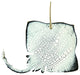 Stingray Ornaments, Set of 3