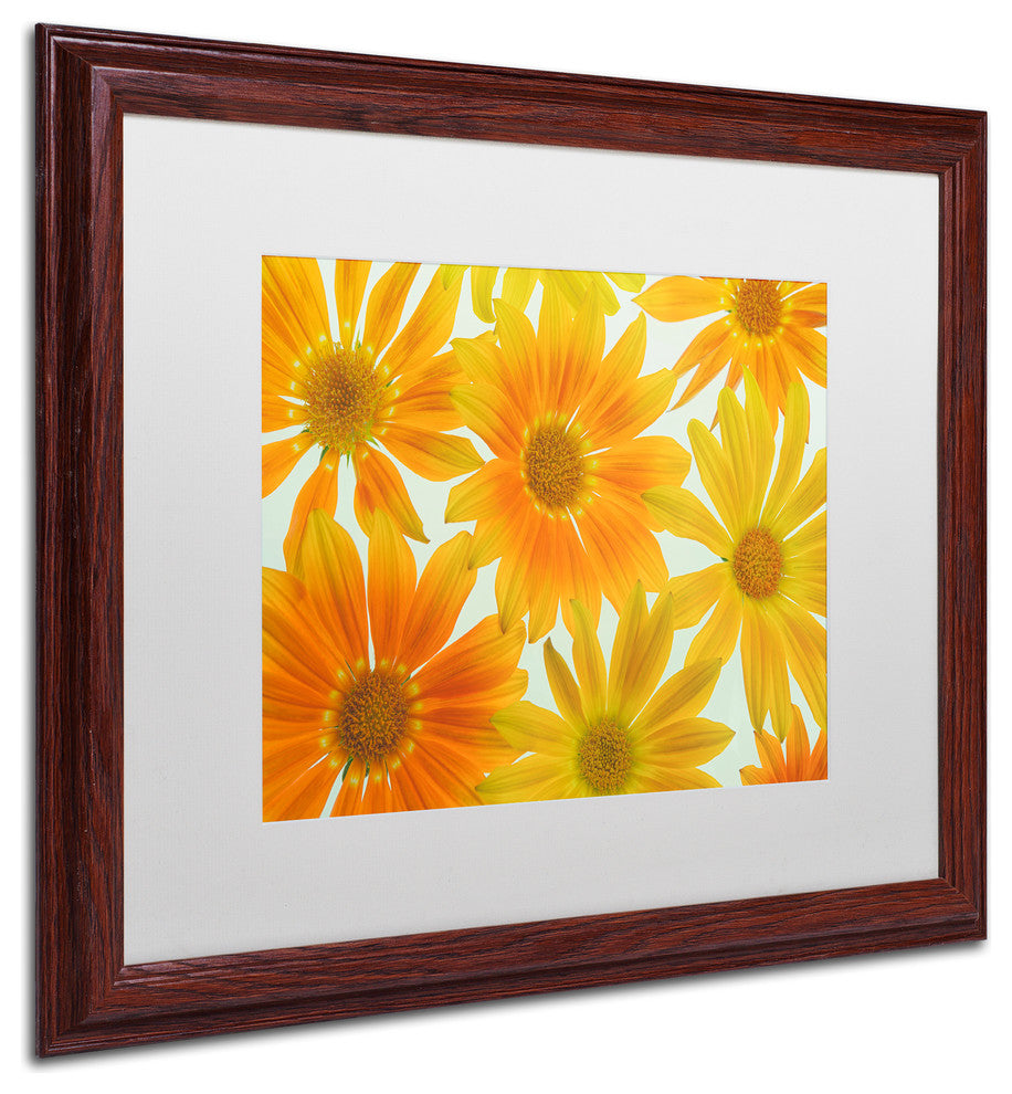 Cora Niele ''Orange Daisies'' Matted Framed Art