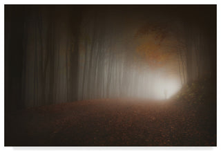 Paolo Lazzarotti 'Last Light Of Autumn' Canvas Art, 24"x16"
