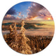 Beautiful Jungle With Fog At Sunset, Landscape Disc Metal Wall Art, 36"