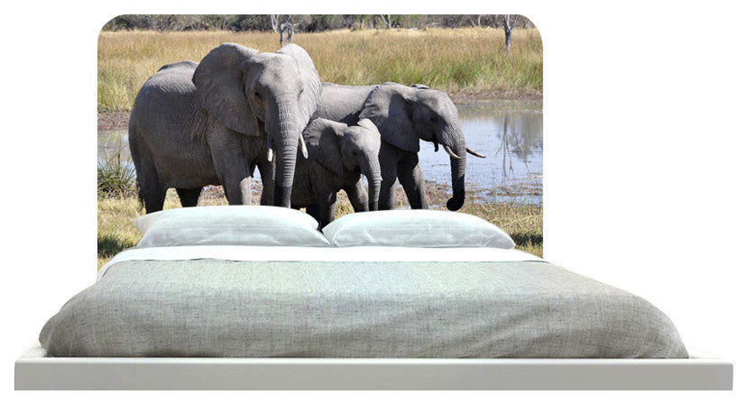 "Elephant 55" Headboard