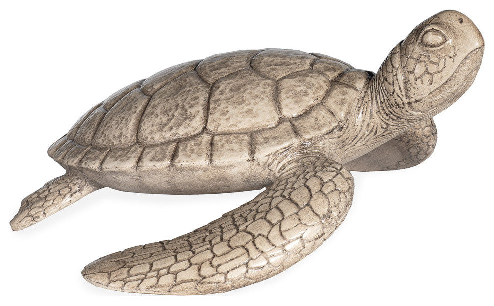 Shelldon Tortoise Accessory Grey Wash