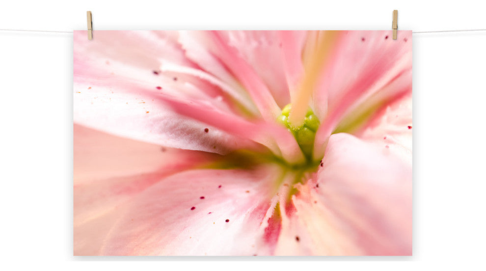 Center of the Stargazer Lily Floral Nature Photo Unframed Wall Art Print, 11" X 14"