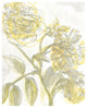 "Belle Fleur Yellow I" Digital Paper Print by Sue Schlabach, 30"x37"