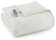 Micro Flannel Electric Heated Comforter, Ivory, Full