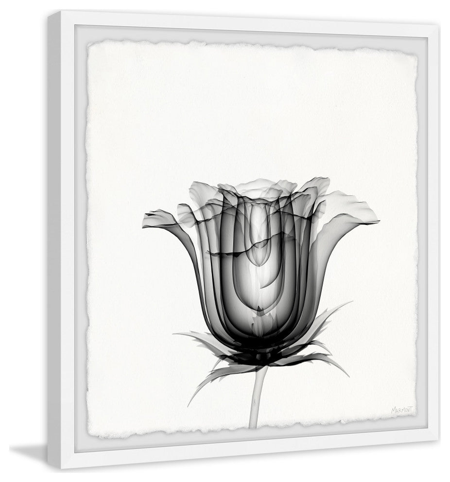 "Exquisite Tulip" Framed Painting Print, 32x32