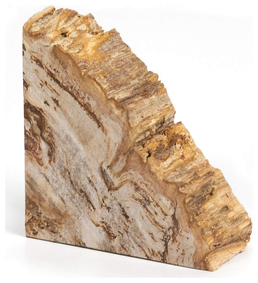 Petrified Wood Book Ends-Light