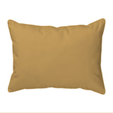 Brown Sea Turtle Large Indoor/Outdoor Pillow 16x20