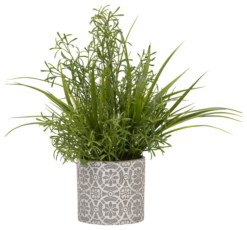 Wild Asparagus and Grass in Round Cement Planter