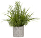 Wild Asparagus and Grass in Round Cement Planter