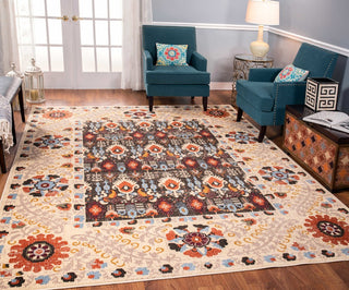 Noori Rug Traditional Socorro Brown/Beige Rug