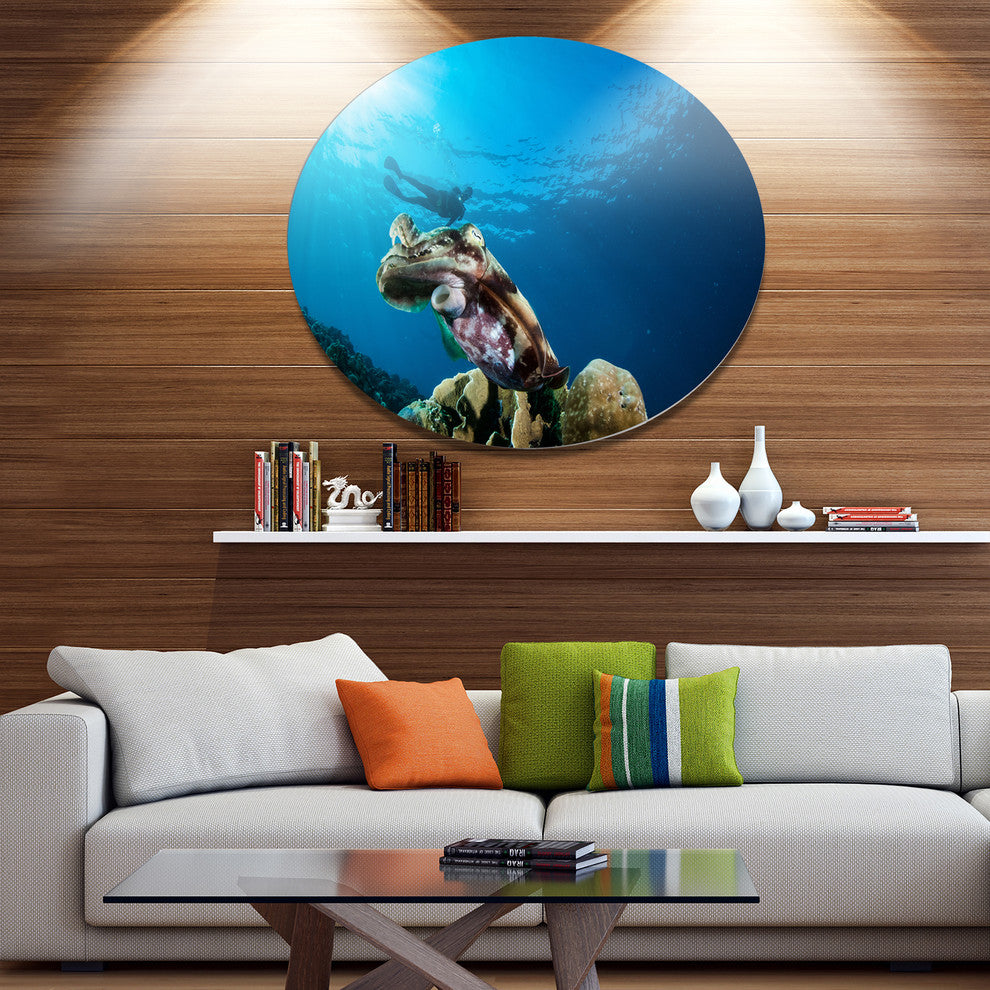 Broadclub Cuttlefish Underwater, Seashore Round Metal Wall Art, 11"