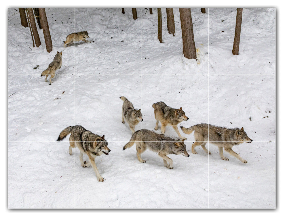 Wolf Ceramic Tile Wall Mural HZ501230-43XL. 48" x 36"