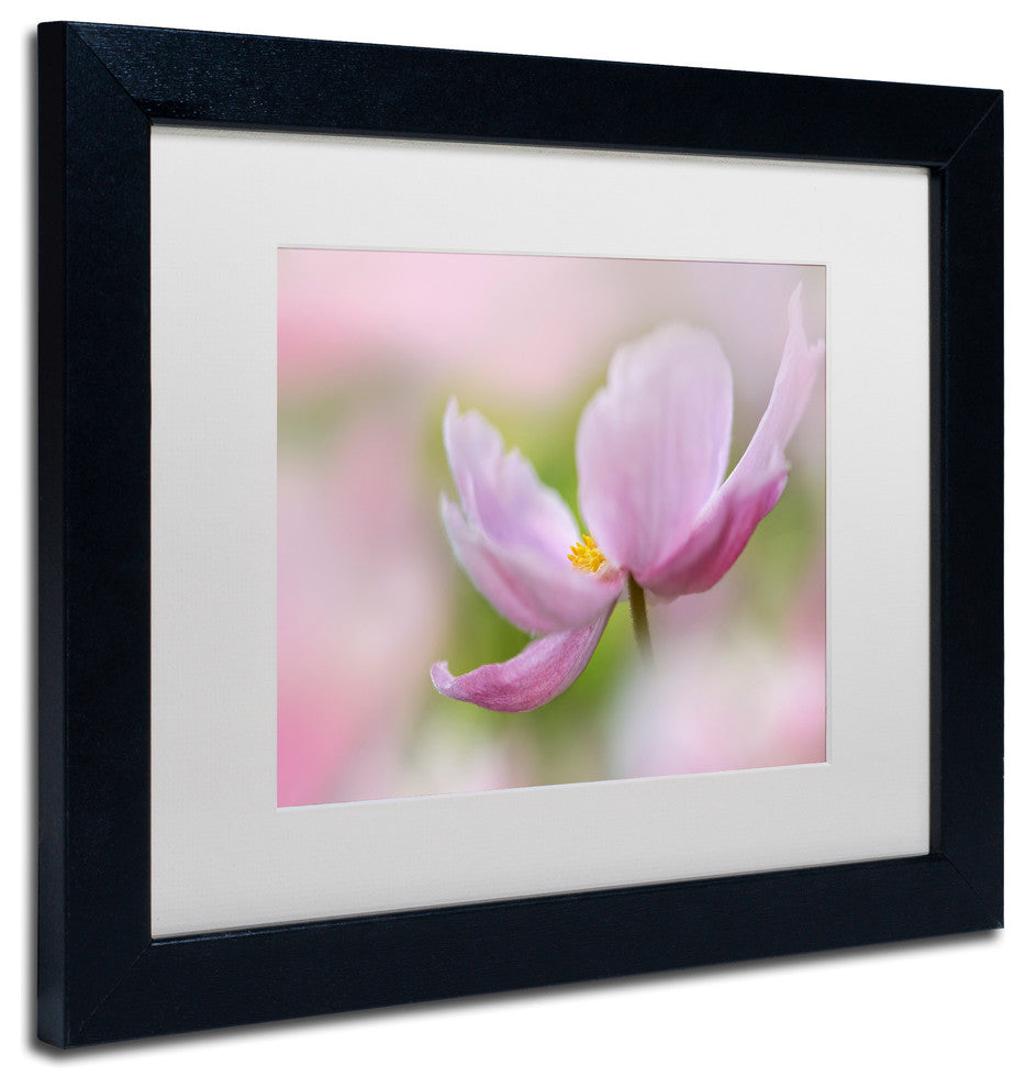 Cora Niele 'Pink Anemone' Matted Framed Art