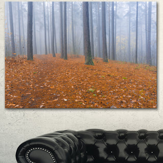 Foggy Dense Forest in autumn, Modern Forest Canvas Art, 40"x30"
