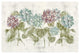 "Vibrant Row of Hydrangea No Border" Digital Paper Print by Cheri Blum, 20"x14"