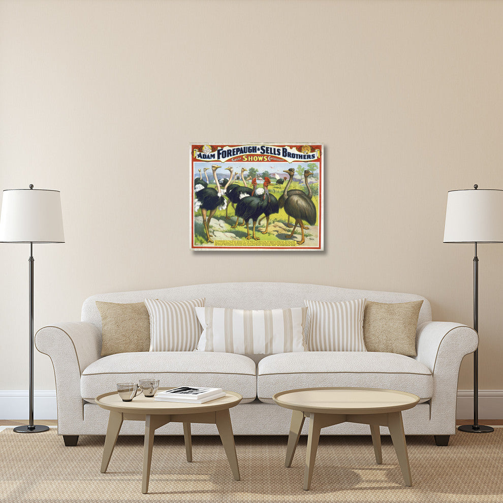 Adam Forepaugh and Sells Brothers Giant Birds, 40x32