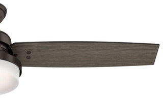 Hunter Fan Company Sentinel Premier Bronze Ceiling Fan With Light/Remote, 52"