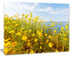 Little Yellow Flowers over Seashore, Large Flower Canvas Art Print, 60"x28"