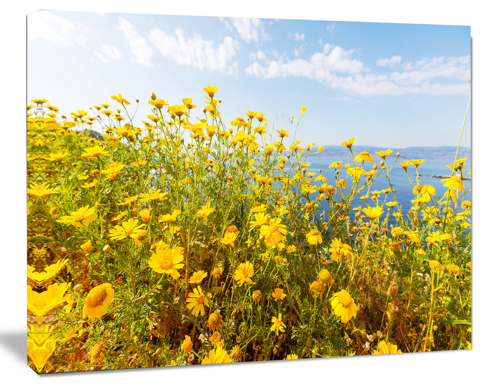 Little Yellow Flowers over Seashore, Large Flower Canvas Art Print, 60"x28"