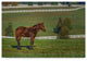 Galloimages Online ''Out Standing In His Field Oil Paint'' Canvas Art, 47"x30"