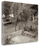"Banc De Jardin - 82" By Alan Blaustein, Giclee Print on Gallery Wrap Canvas