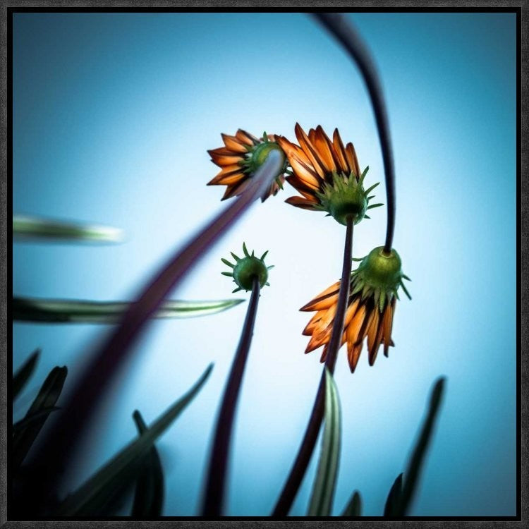 "Flowerlove" Framed Canvas Giclee by Fgr100, 17x17"