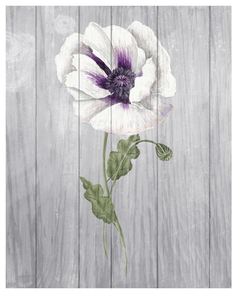"Poppy II" Digital Paper Print by Elyse DeNeige, 30"x37"