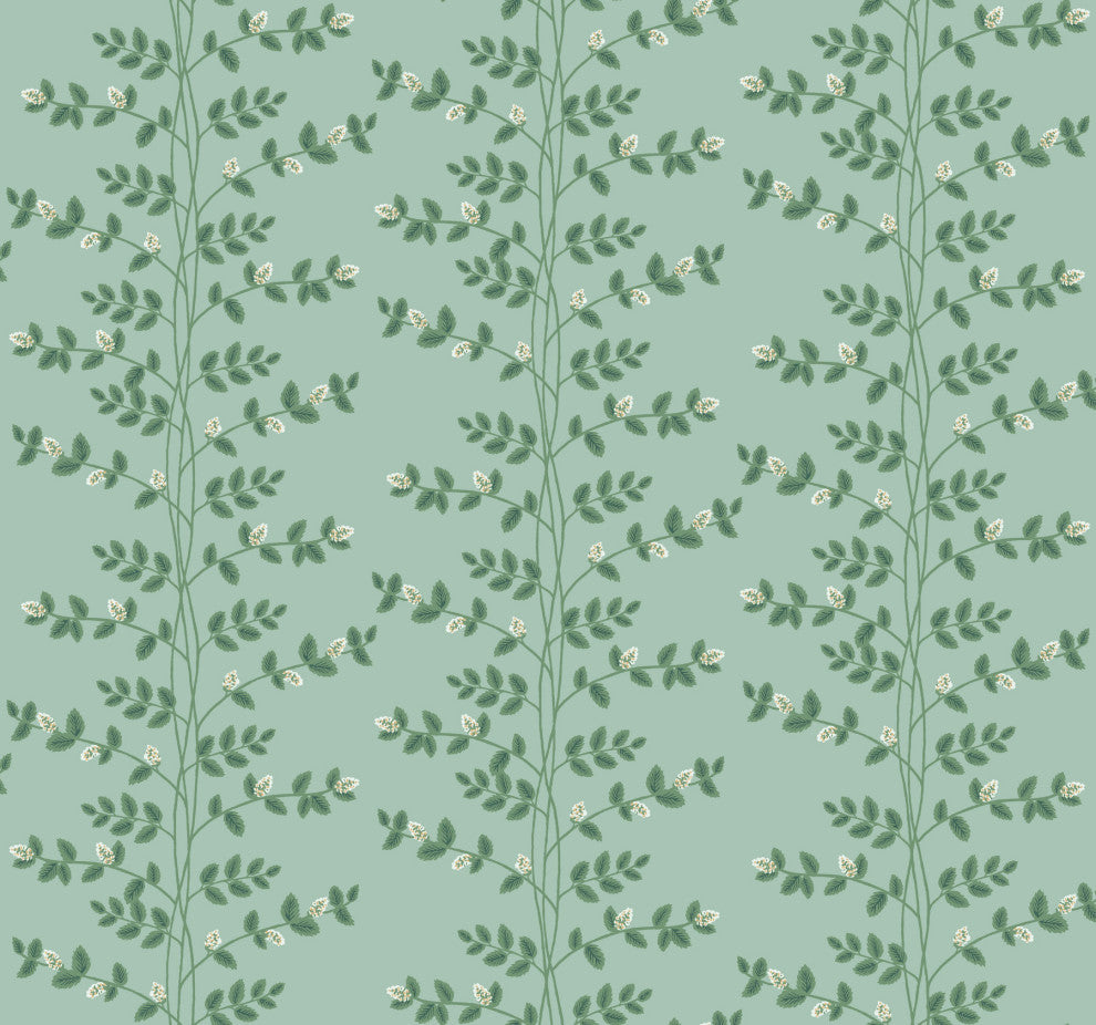 Climbing Vine Soft Teal Wallpaper