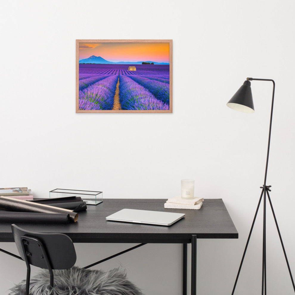 Blooming Lavender Field and Sunset Floral Landscape Framed Photo Wall Art Prints, Red Oak, 18" X 24"