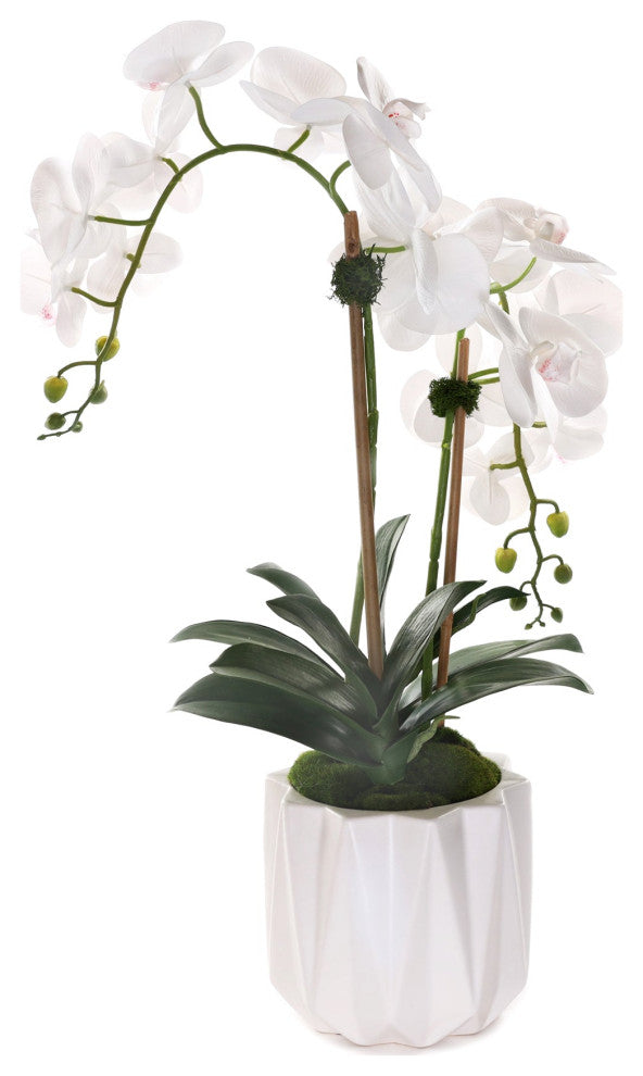 Real Touch Phalaenopsis Orchids in White Dimensional Pot