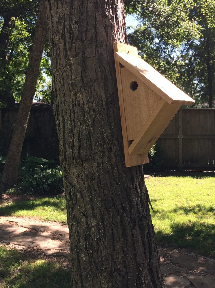 Bird House With Side Entry