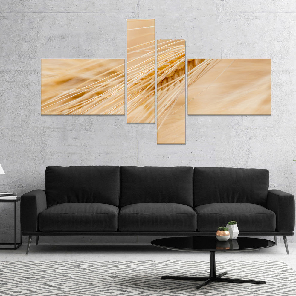 Cereal Plants Barley, Floral Canvas Art Print, 60"x32", 4 panels