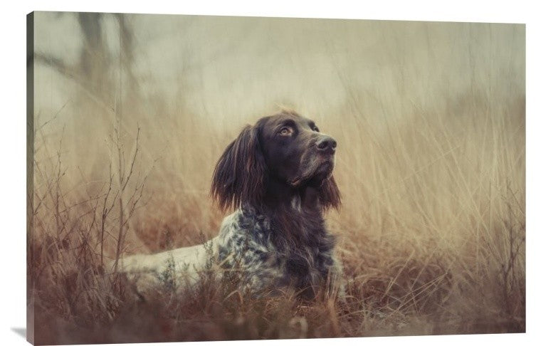 "Beautiful Aragorn" Stretched Canvas Giclee by Heike Willers, 36x24"