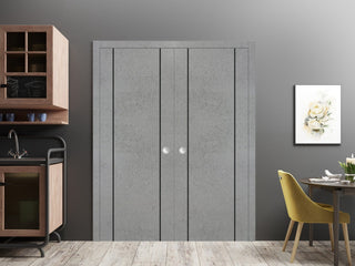 French Double Pocket Doors 48x96 | Planum 0016 Concrete with  | Kit Trims Rail
