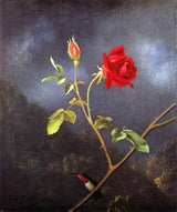 Martin Johnson Heade Red Rose With Ruby Throat Wall Decal Print